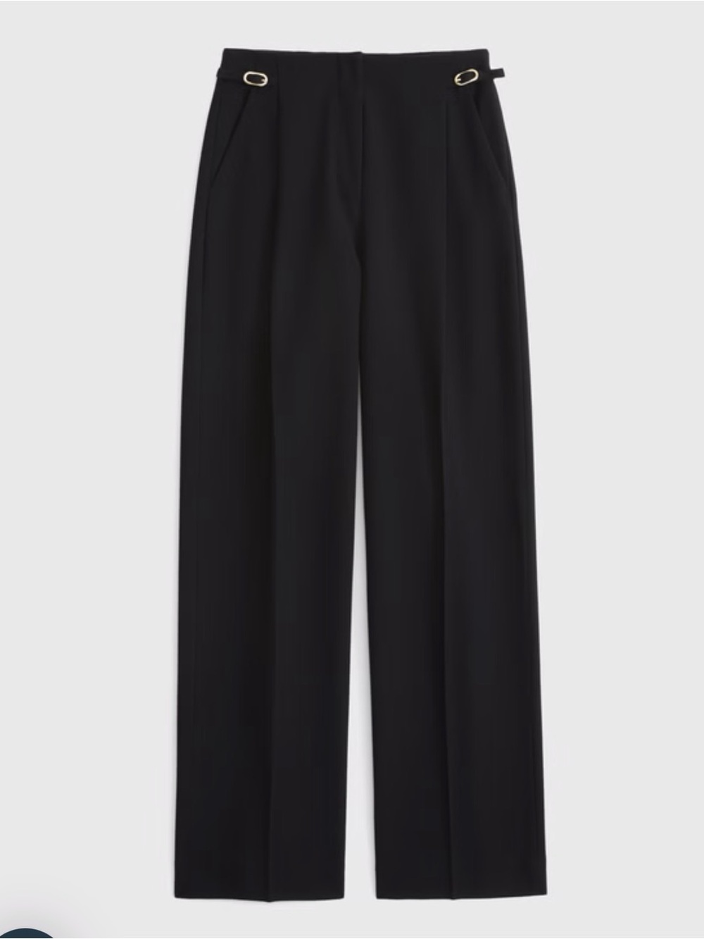 A&F Sloane Tailored Hardware Wide Leg with Hardware